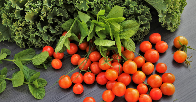 How ONE Shipping Container Vertical Farm Can Destroy a Food Desert